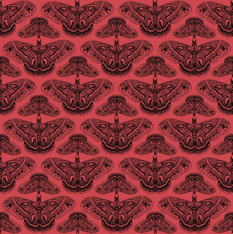 Anna Maria Textiles- Indelible Ink- Cecropia Moth AMT1008-23L Half Yard- March 2026
