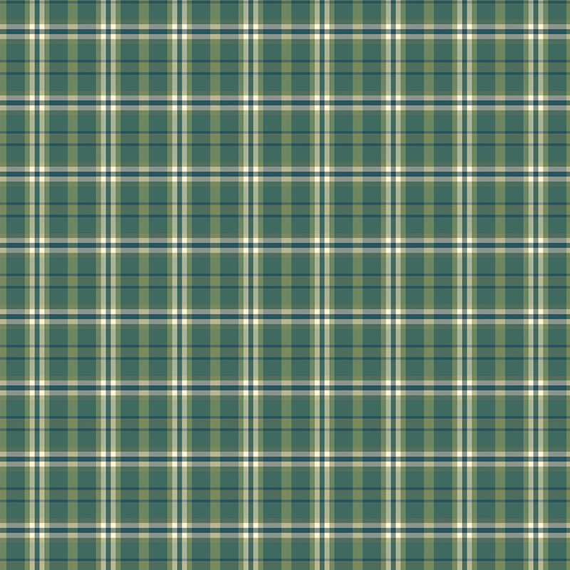 A Spoonful Of Sugar by Jennifer Long- Plaid Poppins C17087-GRASS- Half Yard February 2026