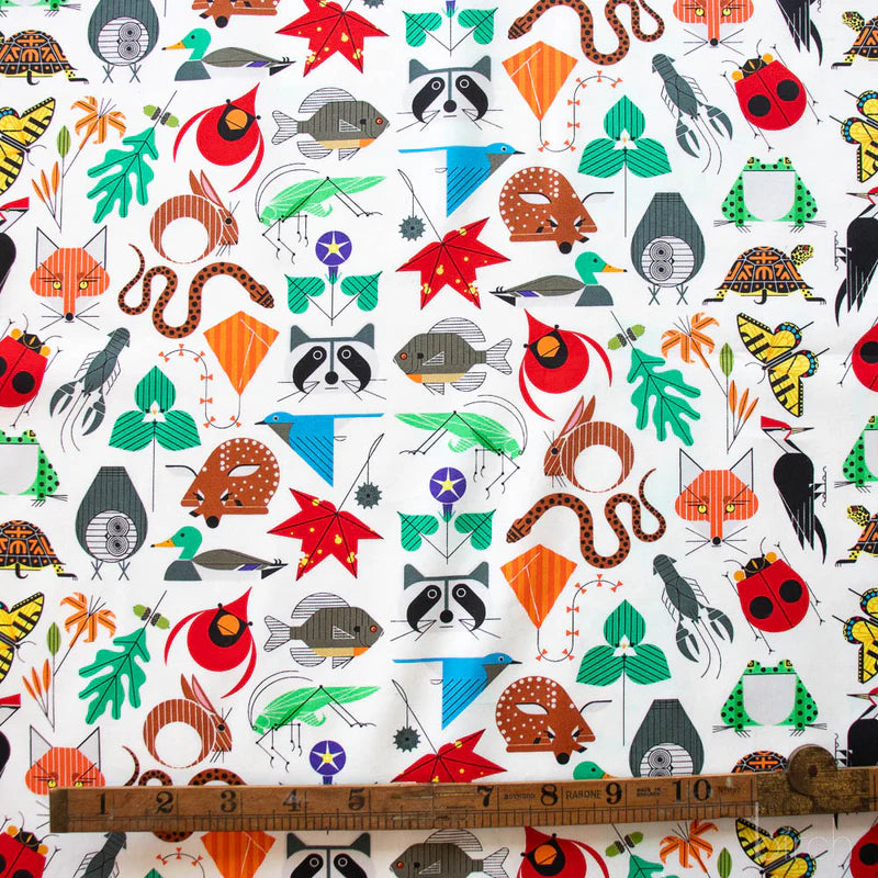 Iconic Vol. 2 by Charley Harper- Small Space for All Species CH-410  Half Yard- 2026