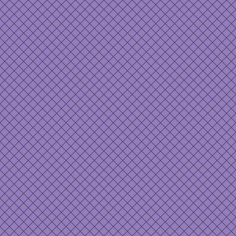 Tula Pink True Colors 2025- On the Grid PWTP255.MYSTERIOUS- Half Yard- April 2025