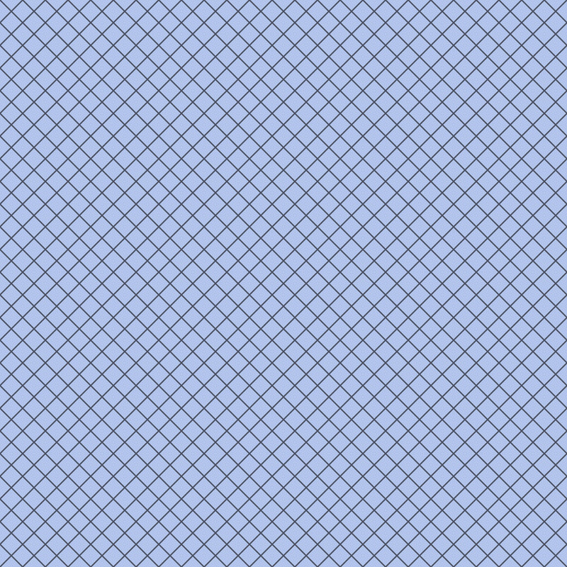 Tula Pink True Colors 2025- On the Grid PWTP255.SHORELINE- Half Yard- April 2025