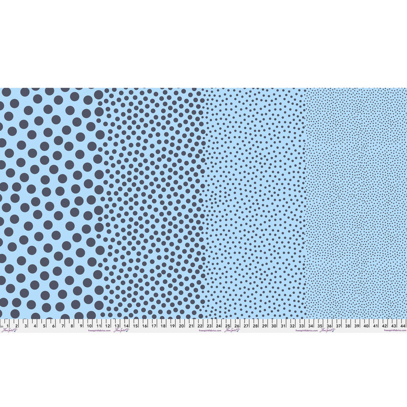 Tula Pink True Color- Stones PWTP299.DENIM- Half Yard- March 2027