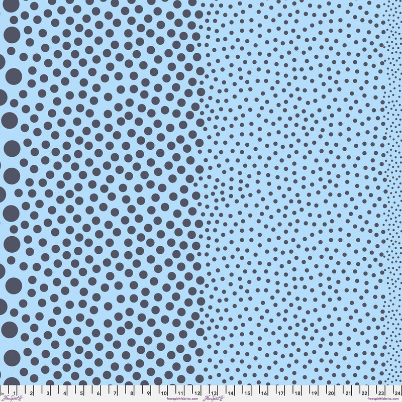 Tula Pink True Color- Stones PWTP299.DENIM- Half Yard- March 2027