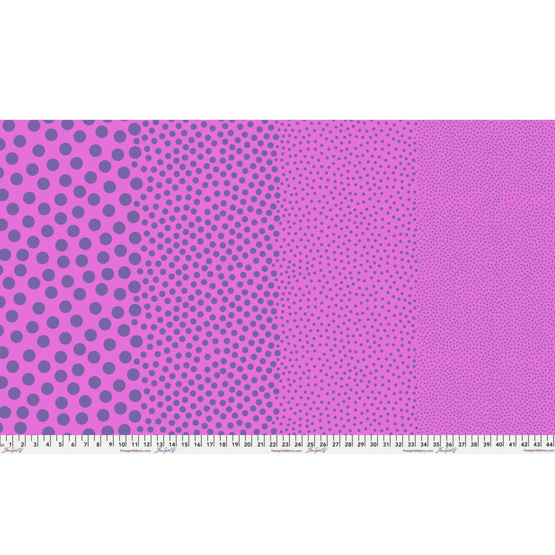 Tula Pink True Color- Stones PWTP299.GRAPECRUSH- Half Yard- March 2027