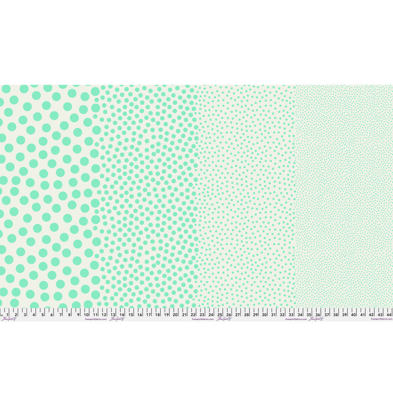 Tula Pink True Color- Stones PWTP299.OASIS- Half Yard- March 2027