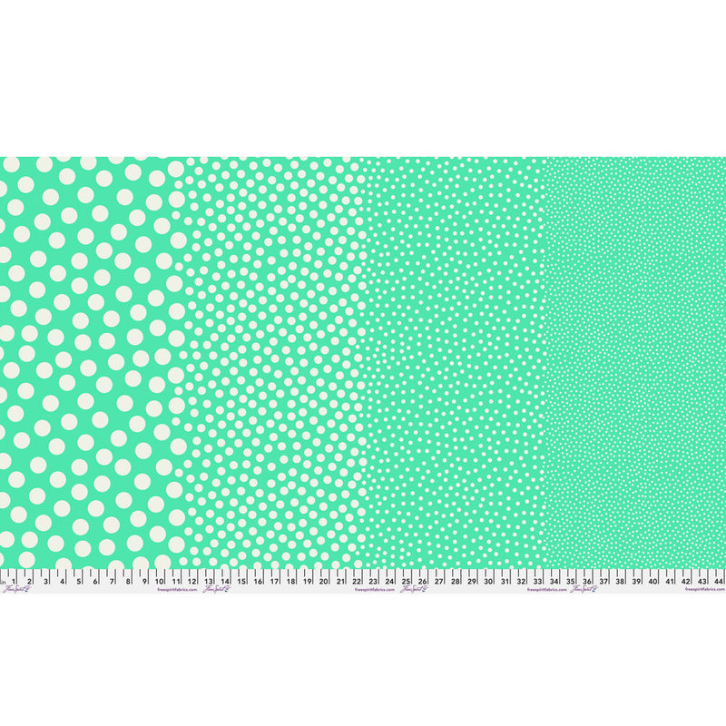 Tula Pink True Color- Stones PWTP299.PATINA- Half Yard- March 2027