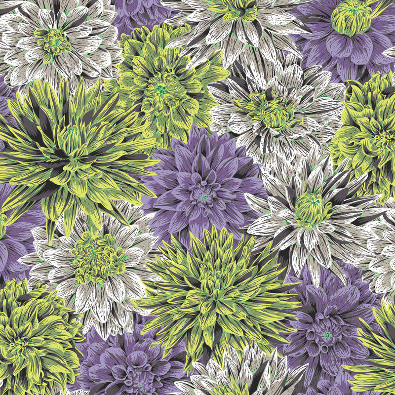 Kaffe Fassett- 108" Wide Back- Bursting Stripes QBPJ008.CONTRAST- Half Yard- August 2026