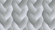 Echo Braid by Emily Van Hoff - 42380 13 Grey - Half Yard - March 2026 - Modern Fabric Shoppe