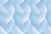 Echo Braid by Emily Van Hoff - 42380 16 Light Blue - Half Yard - March 2026 - Modern Fabric Shoppe