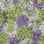Kaffe Fassett- 108" Wide Back- Bursting Stripes QBPJ008.CONTRAST- Half Yard- August 2026 - Modern Fabric Shoppe