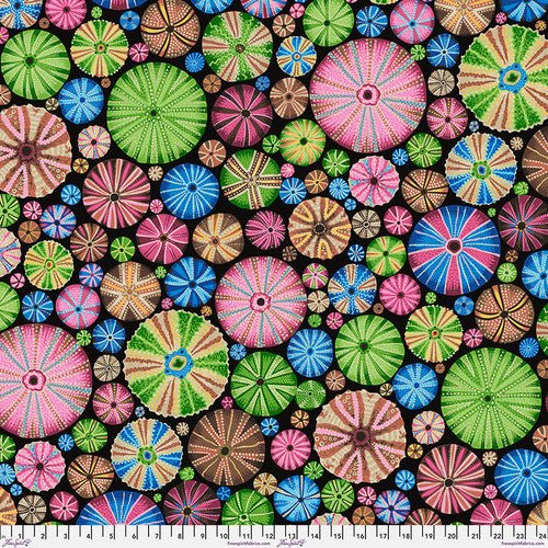 Kaffe Fassett August 2024 Collective - Urchin - PWPJ125.MULTI - Half Yard - Modern Fabric Shoppe