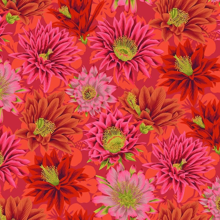 Kaffe Fassett Collective - Philip Jacob - Cactus Flower PWPJ096.RED - Half Yard - Modern Fabric Shoppe