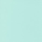 Moda Bella Solids - Ruby Ice 9900 169 - Half Yard - Modern Fabric Shoppe