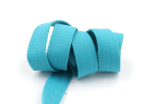 Ocean Aqua 1 inch (25mm) width Webbing - by the yard - Modern Fabric Shoppe