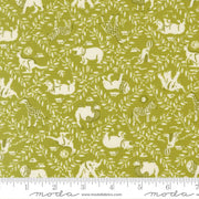 PRE - ORDER Animal Park Fun by Stacy Lest Hsu - Iguana 20964 16 - Half Yard - January 2026 - Modern Fabric Shoppe