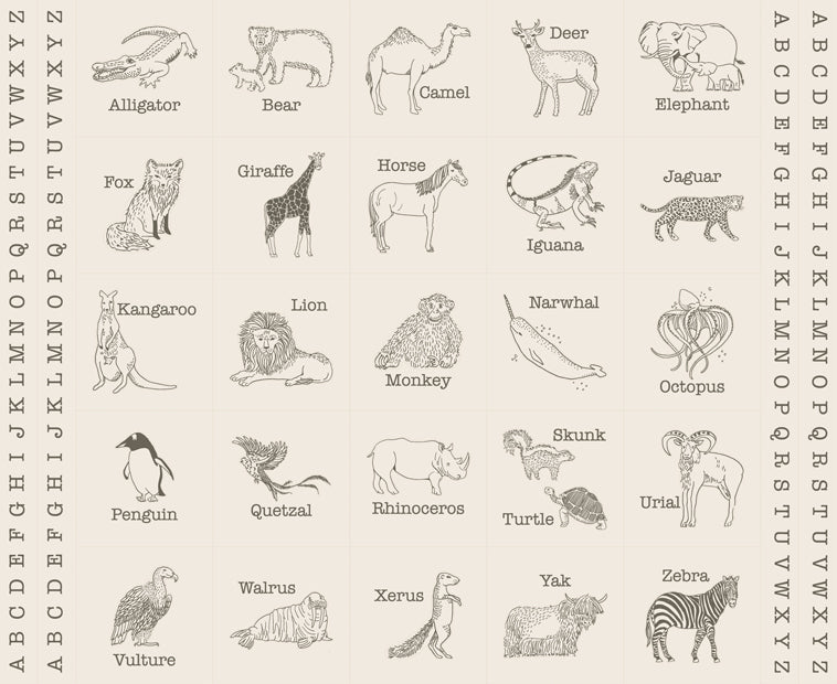 PRE - ORDER Animal Park Fun by Stacy Lest Hsu - Panel Multi 20968 21 - Half Yard - January 2026 - Modern Fabric Shoppe