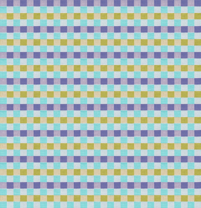 PRE - Order Anna Maria Textiles - Check Mates - Alternate AMT110 - 10C Rattle - Half Yard - February 2026 - Modern Fabric Shoppe