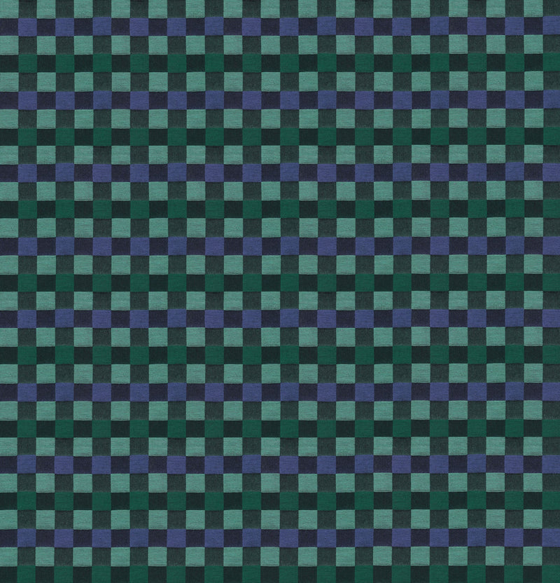 PRE - Order Anna Maria Textiles - Check Mates - Alternate AMT110 - 99C Wave - Half Yard - February 2026 - Modern Fabric Shoppe