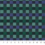 PRE - Order Anna Maria Textiles - Check Mates - Alternate AMT110 - 99C Wave - Half Yard - February 2026 - Modern Fabric Shoppe