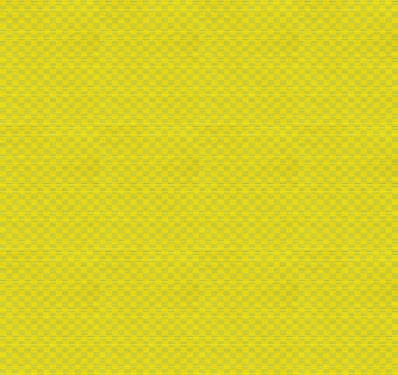 PRE - Order Anna Maria Textiles - Check Mates - Gameboard AMT109 - 72C Spring - Half Yard - February 2026 - Modern Fabric Shoppe