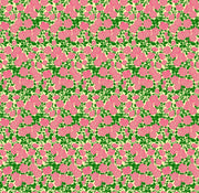 PRE - Order Anna Maria Textiles - Clean Cut - Spinout AMT186 - 28C True - Half Yard - September 2026 - Modern Fabric Shoppe