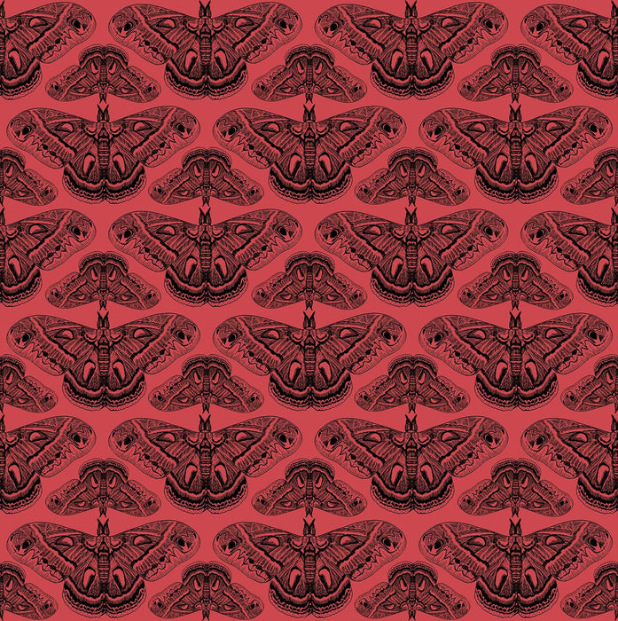 PRE - Order Anna Maria Textiles - Indelible Ink - AMT1008 - 23L Half Yard - March 2026 - Modern Fabric Shoppe