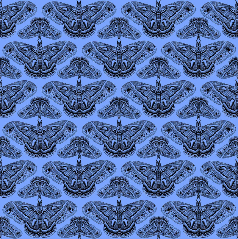 PRE - Order Anna Maria Textiles - Indelible Ink - AMT1008 - 45C Half Yard - March 2026 - Modern Fabric Shoppe