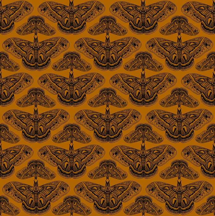 PRE - Order Anna Maria Textiles - Indelible Ink - AMT1008 - 55V Half Yard - March 2026 - Modern Fabric Shoppe