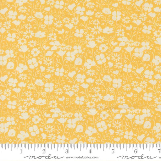 PRE - Order Cannon Beach by Crystal Manning - 11972 25 Sunshine - Half Yard - February 2026 - Modern Fabric Shoppe