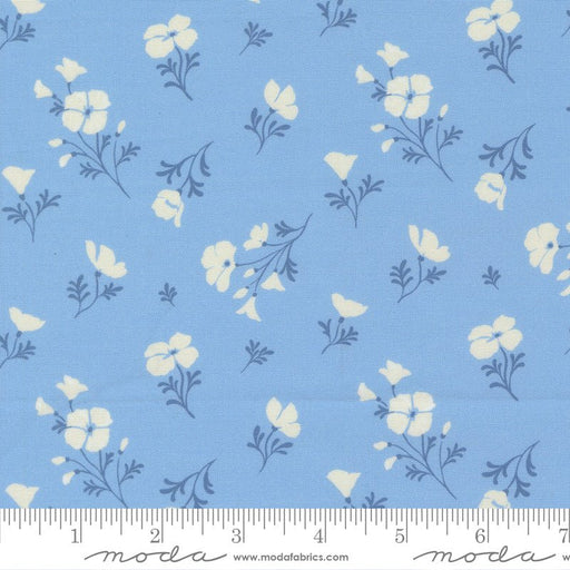 PRE - Order Cannon Beach by Crystal Manning - 11974 19 Sky - Half Yard - February 2026 - Modern Fabric Shoppe