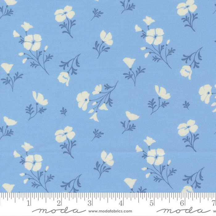 PRE - Order Cannon Beach by Crystal Manning - 11974 19 Sky - Half Yard - February 2026 - Modern Fabric Shoppe