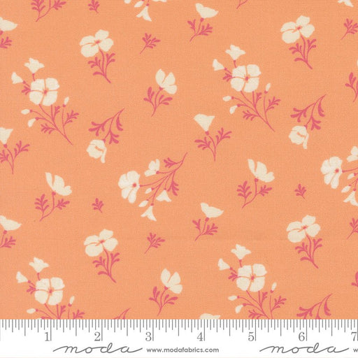 PRE - Order Cannon Beach by Crystal Manning - 11974 22 Peach - Half Yard - February 2026 - Modern Fabric Shoppe