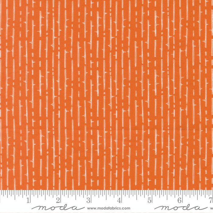 PRE - Order Coven by Robin Pickens - Coven 48806 13 Spice - Half Yard - May 2026 - Modern Fabric Shoppe