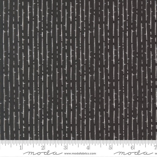 PRE - Order Coven by Robin Pickens - Coven 48806 16 Onyx - Half Yard - May 2026 - Modern Fabric Shoppe