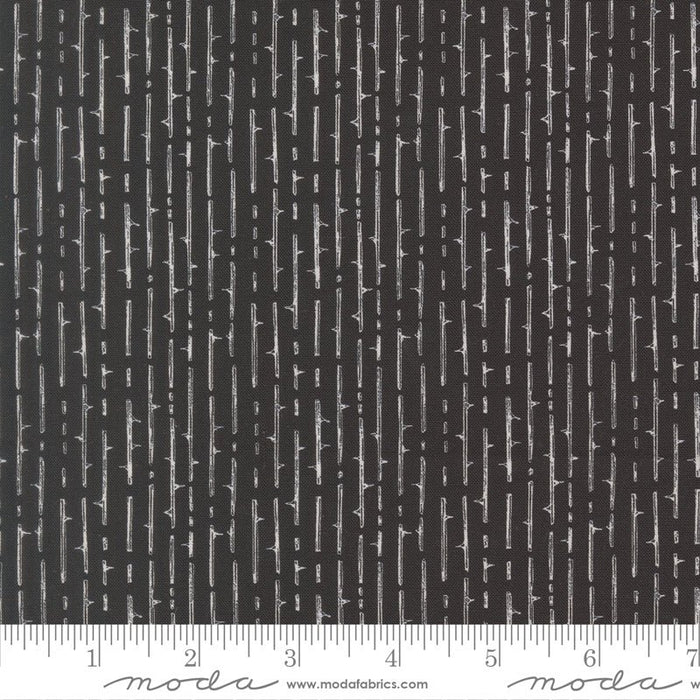 PRE - Order Coven by Robin Pickens - Coven 48806 16 Onyx - Half Yard - May 2026 - Modern Fabric Shoppe