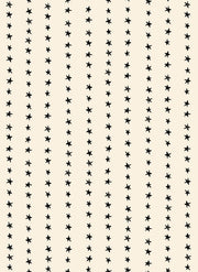 PRE-Order Daisy Days by Alexia Marcella Abegg- RS 4175 12 Natural- Half Yard- April 2027 - Modern Fabric Shoppe
