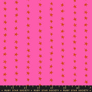 PRE-Order Daisy Days by Alexia Marcella Abegg- RS 4175 15 Playful- Half Yard- April 2027 - Modern Fabric Shoppe