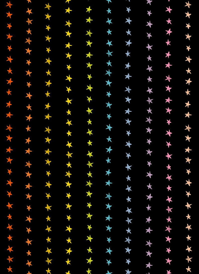 PRE-Order Daisy Days by Alexia Marcella Abegg- RS 4175 18 Black- Half Yard- April 2027 - Modern Fabric Shoppe