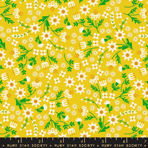 PRE-ORDER Flower Favorites- Collaboration by Ruby Star Society- Inflorescence RS 5146 11- Golden Hour- Half Yard- August 2024 - Modern Fabric Shoppe