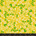 PRE-ORDER Flower Favorites- Collaboration by Ruby Star Society- Inflorescence RS 5146 11- Golden Hour- Half Yard- August 2024 - Modern Fabric Shoppe