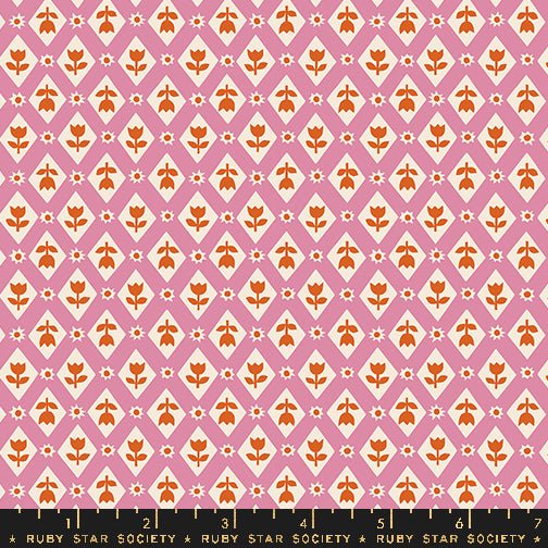 PRE-ORDER Flower Favorites- Collaboration by Ruby Star Society- Lattice RS 5148 12- Kiss- Half Yard- August 2024 - Modern Fabric Shoppe
