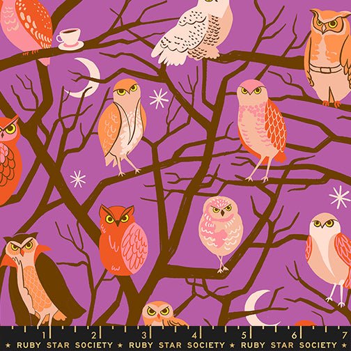 PRE - ORDER Freaky Familiar - Collaboration by Ruby Star Society - Who Cooks For You RS 5190 11 - Witchy - Half Yard - June 2026 - Modern Fabric Shoppe