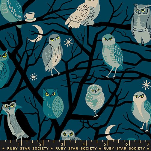 PRE - ORDER Freaky Familiar - Collaboration by Ruby Star Society - Who Cooks For You RS 5190 12 - Galaxy - Half Yard - June 2026 - Modern Fabric Shoppe