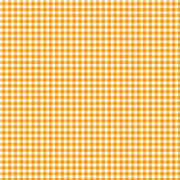 PRE - Order Ghostly Garden by KP Creates - Gingham A - 10199 - O Orange - Half Yard - March 2026 - Modern Fabric Shoppe