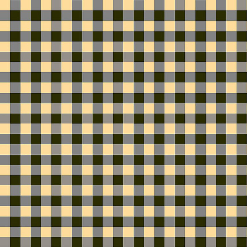 PRE-Order Heather Ross- Boat Race- Picnic Little 55608D-8 Soot- Half Yard- May 2027 - Modern Fabric Shoppe