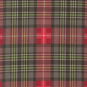 PRE - ORDER Holiday Cheer by Stacy Lest Hsu - Coal 20977 19 - Half Yard - May 2026 - Modern Fabric Shoppe