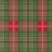 PRE - ORDER Holiday Cheer by Stacy Lest Hsu - Evergreen 20977 14 - Half Yard - May 2026 - Modern Fabric Shoppe