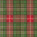PRE - ORDER Holiday Cheer by Stacy Lest Hsu - Evergreen 20977 14 - Half Yard - May 2026 - Modern Fabric Shoppe