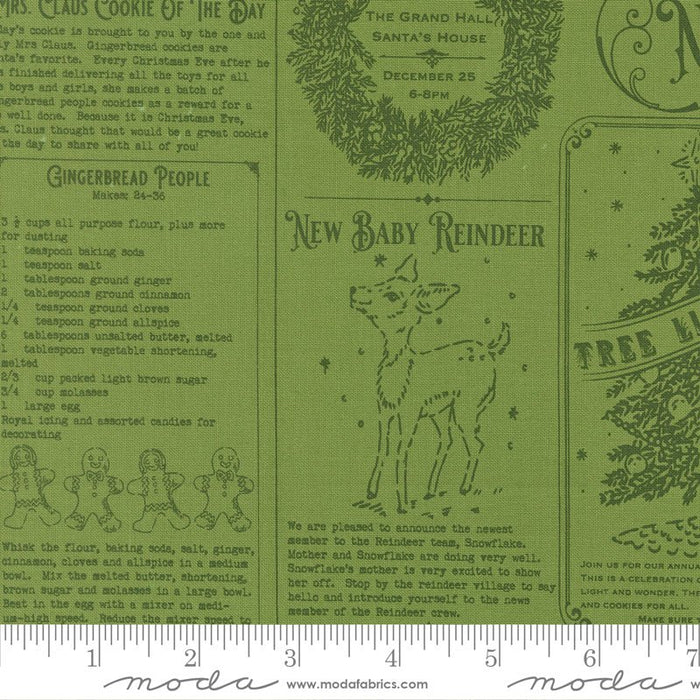 PRE - ORDER Holiday Cheer by Stacy Lest Hsu - Mistletoe 20970 13 - Half Yard - May 2026 - Modern Fabric Shoppe