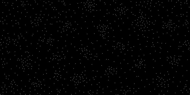 PRE - ORDER Ink Shop by Sarah Watts - Sugar RS 2141 22 - Black - Half Yard - October 2026 - Modern Fabric Shoppe
